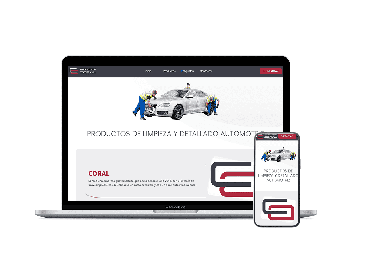 Sitio Web Profesional