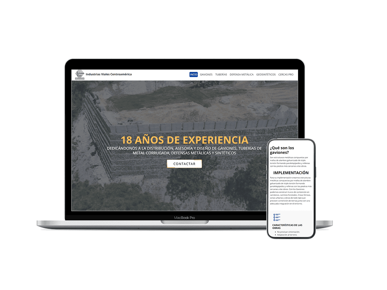 Sitio Web Profesional