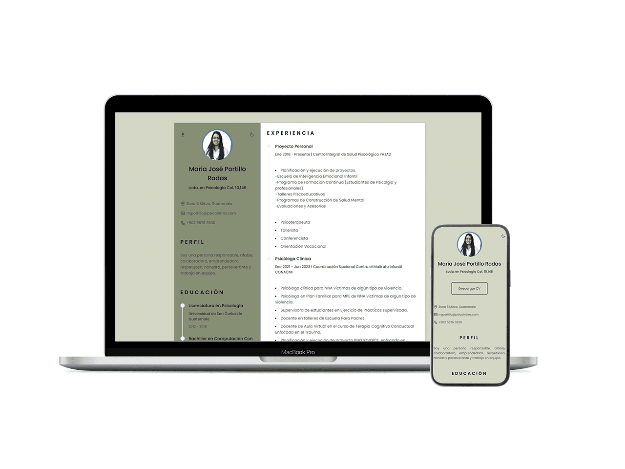 CV Web Profesional